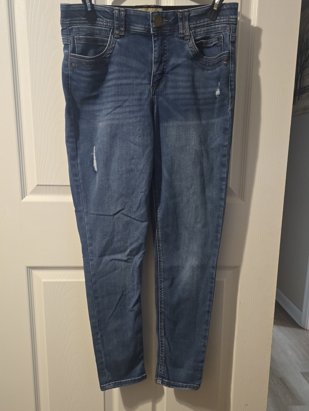 Democracy Skinny Jeans in Medium Blue Wash